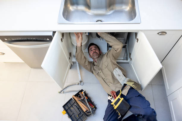 Best Local Plumber Services  in Ambridge, PA